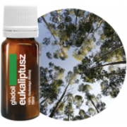 Eukaliptusz - 100% Tisztaságú Esszenciális Illóolaj