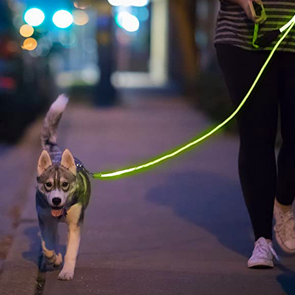 LED-es Sétáltató Póráz